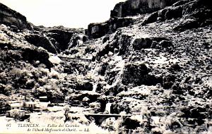 TLEMCEN - VALLEE DES CASCADES DE L'OUED-MEFFROUCH-EL-OURIT 